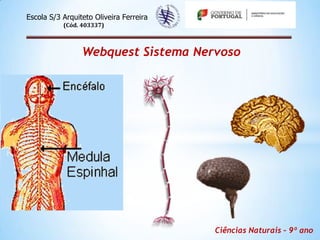 Escola S/3 Arquiteto Oliveira Ferreira
           (Cód. 403337)



                 Webquest Sistema Nervoso




                                         Ciências Naturais – 9º ano
 
