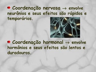 Coordenação nervosa → envolve
neurônios e seus efeitos são rápidos e
temporários.
Coordenação hormonal → envolve
hormônios e seus efeitos são lentos e
duradouros.
 