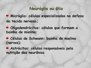 Neuróglia ou Glia
Micróglia: células especializadas na defesa
do tecido nervoso;
Oligodendrócitos: células que formam a
bainha de mielina;
Células de Schwann: bainha de mielina
(nervos);
Astrócitos: células responsáveis pela
nutrição dos neurônios.
 