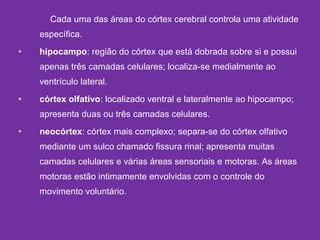Cada uma das áreas do córtex cerebral controla uma atividade
específica.
• hipocampo: região do córtex que está dobrada sobre si e possui
apenas três camadas celulares; localiza-se medialmente ao
ventrículo lateral.
• córtex olfativo: localizado ventral e lateralmente ao hipocampo;
apresenta duas ou três camadas celulares.
• neocórtex: córtex mais complexo; separa-se do córtex olfativo
mediante um sulco chamado fissura rinal; apresenta muitas
camadas celulares e várias áreas sensoriais e motoras. As áreas
motoras estão intimamente envolvidas com o controle do
movimento voluntário.
 
