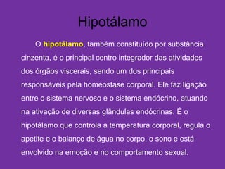 Hipotálamo
O hipotálamo, também constituído por substância
cinzenta, é o principal centro integrador das atividades
dos órgãos viscerais, sendo um dos principais
responsáveis pela homeostase corporal. Ele faz ligação
entre o sistema nervoso e o sistema endócrino, atuando
na ativação de diversas glândulas endócrinas. É o
hipotálamo que controla a temperatura corporal, regula o
apetite e o balanço de água no corpo, o sono e está
envolvido na emoção e no comportamento sexual.
 