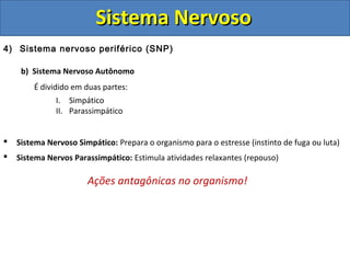 Sistema NervosoSistema Nervoso
4) Sistema nervoso periférico (SNP)
b) Sistema Nervoso Autônomo
É dividido em duas partes:
I. Simpático
II. Parassimpático
 Sistema Nervoso Simpático: Prepara o organismo para o estresse (instinto de fuga ou luta)
 Sistema Nervos Parassimpático: Estimula atividades relaxantes (repouso)
Ações antagônicas no organismo!
 
