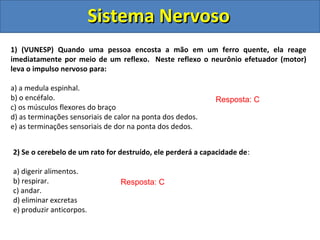 Sistema NervosoSistema Nervoso
1) (VUNESP) Quando uma pessoa encosta a mão em um ferro quente, ela reage
imediatamente por meio de um reflexo. Neste reflexo o neurônio efetuador (motor)
leva o impulso nervoso para:
a) a medula espinhal.
b) o encéfalo.
c) os músculos flexores do braço
d) as terminações sensoriais de calor na ponta dos dedos.
e) as terminações sensoriais de dor na ponta dos dedos.
Resposta: C
2) Se o cerebelo de um rato for destruído, ele perderá a capacidade de:
a) digerir alimentos.
b) respirar.
c) andar.
d) eliminar excretas
e) produzir anticorpos.
Resposta: C
 
