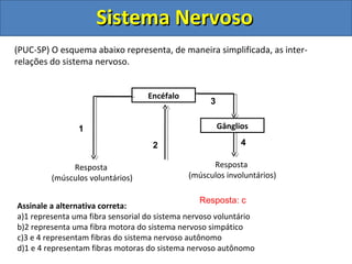 Sistema NervosoSistema Nervoso
Resposta: c
(PUC-SP) O esquema abaixo representa, de maneira simplificada, as inter-
relações do sistema nervoso.
Encéfalo
Gânglios1
2
3
4
Resposta
(músculos voluntários)
Resposta
(músculos involuntários)
Assinale a alternativa correta:
a)1 representa uma fibra sensorial do sistema nervoso voluntário
b)2 representa uma fibra motora do sistema nervoso simpático
c)3 e 4 representam fibras do sistema nervoso autônomo
d)1 e 4 representam fibras motoras do sistema nervoso autônomo
 
