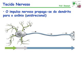 • O impulso nervoso propaga-se do dendrito
para o axônio (unidirecional)
Tecido Nervoso Prof. Emanuel
 