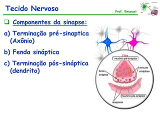  Componentes da sinapse:
a) Terminação pré-sinaptica
(Axônio)
b) Fenda sináptica
c) Terminação pós-sináptica
(dendrito)
Tecido Nervoso Prof. Emanuel
 