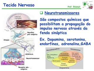  Neurotransmissores
São compostos químicos que
possibilitam a propagação do
impulso nervoso através da
fenda sináptica
Ex. Dopamina, serotonina,
endorfinas, adrenalina,GABA
Tecido Nervoso Prof. Emanuel
Neurônio
pré-sináptico
Sinapse
Neurotransmissor
Receptor pós-
sináptico
 