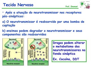 Tecido Nervoso Prof. Emanuel
• Após a atuação do neurotransmissor nos receptores
pós-sinápticos:
a) O neurotransmissor é reabsorvido por uma bomba de
captação
b) enzimas podem degradar o neurotransmissor e seus
componentes são reabsorvidos
Drogas podem alterar
o metabolismo dos
neurotransmissores na
fenda sináptica
Ex. Cocaína, DDT
 