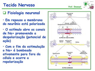 Fisiologia neuronal
• Em repouso a membrana
do neurônio está polarizada
• O estímulo abre os canais
de Na+ promovendo a
despolarização (potencial de
ação)
• Com o fim da estimulação
o Na+ é bombeado
ativamente para fora da
célula e ocorre a
repolarização
Potencial de
repouso
Tecido Nervoso Prof. Emanuel
 