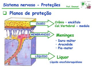  Planos de proteção
ÓSSEO Crânio – encéfalo
Col.Vertebral - medula
MEMBRANOSO Meninges
• Dura-máter
• Aracnóide
• Pia-mater
LÍQUIDO
Liquor
Líquido encefaloraquidiano
Prof. Emanuel
Sistema nervoso - Proteções
 