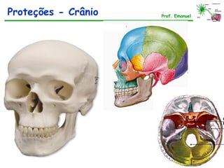 Prof. Emanuel
Proteções - Crânio
 