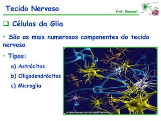  Células da Glia
• São os mais numerosos componentes do tecido
nervoso
• Tipos:
a) Astrócitos
b) Oligodendrócitos
c) Microglia
Tecido Nervoso Prof. Emanuel
 