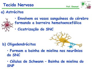 a) Astrócitos
• Envolvem os vasos sanguíneos do cérebro
formando a barreira hematoencefálica
• Cicatrização do SNC
b) Oligodendrócitos
• Formam a bainha de mielina nos neurônios
do SNC
• Células de Schwann – Bainha de mielina do
SNP
Tecido Nervoso Prof. Emanuel
 