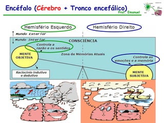 Encéfalo (Cérebro + Tronco encefálico)Prof. Emanuel
 