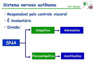 • Responsável pelo controle visceral
• É involuntário
• Divisão:
Sistema nervoso autônomo Prof. Emanuel
SNA
Simpático
Parassimpático
Adrenalina
Acetilcolina
 