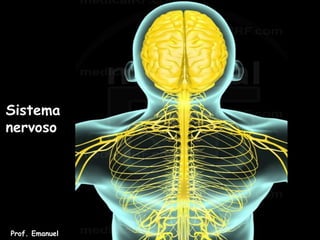 Sistema
nervoso
Prof. Emanuel
 