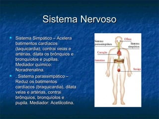 Sistema NervosoSistema Nervoso
 Sistema Simpático – AceleraSistema Simpático – Acelera
batimentos cardíacosbatimentos cardíacos
(taquicardia), contrai veias e(taquicardia), contrai veias e
artérias, dilata os brônquios eartérias, dilata os brônquios e
bronquíolos e pupilas.bronquíolos e pupilas.
Mediador químico:Mediador químico:
Noradrenalina.Noradrenalina.
 .. Sistema parassimpático –Sistema parassimpático –
Reduz os batimentosReduz os batimentos
cardíacos (braquicardia), dilatacardíacos (braquicardia), dilata
veias e artérias, contraiveias e artérias, contrai
brônquios, bronquíolos ebrônquios, bronquíolos e
pupila. Mediador: Acetilcolina.pupila. Mediador: Acetilcolina.
 