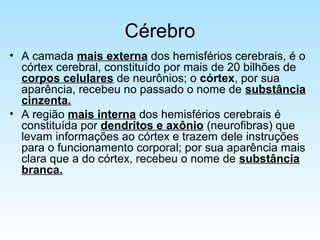 Cérebro
• A camada mais externa dos hemisférios cerebrais, é o
córtex cerebral, constituído por mais de 20 bilhões de
corpos celulares de neurônios; o córtex, por sua
aparência, recebeu no passado o nome de substância
cinzenta.
• A região mais interna dos hemisférios cerebrais é
constituída por dendritos e axônio (neurofibras) que
levam informações ao córtex e trazem dele instruções
para o funcionamento corporal; por sua aparência mais
clara que a do córtex, recebeu o nome de substância
branca.
 