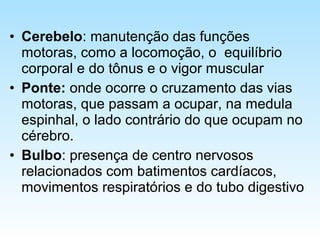 • Cerebelo: manutenção das funções
motoras, como a locomoção, o equilíbrio
corporal e do tônus e o vigor muscular
• Ponte: onde ocorre o cruzamento das vias
motoras, que passam a ocupar, na medula
espinhal, o lado contrário do que ocupam no
cérebro.
• Bulbo: presença de centro nervosos
relacionados com batimentos cardíacos,
movimentos respiratórios e do tubo digestivo
 