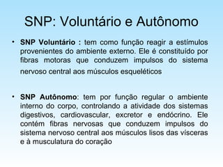 SNP: Voluntário e Autônomo
• SNP Voluntário : tem como função reagir a estímulos
provenientes do ambiente externo. Ele é constituído por
fibras motoras que conduzem impulsos do sistema
nervoso central aos músculos esqueléticos
• SNP Autônomo: tem por função regular o ambiente
interno do corpo, controlando a atividade dos sistemas
digestivos, cardiovascular, excretor e endócrino. Ele
contém fibras nervosas que conduzem impulsos do
sistema nervoso central aos músculos lisos das vísceras
e à musculatura do coração
 