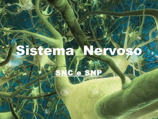 Sistema Nervoso
SNC e SNP
 
