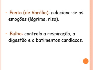 •

Ponte (de Varólio): relaciona-se as
emoções (lágrima, riso).

•

Bulbo: controla a respiração, a
digestão e o batimentos cardíacos.

 
