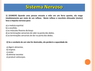 Sistema nervoso