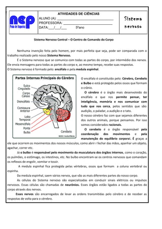 T

ATIVIDADES DE CIÊNCIAS
ALUNO (A): _______________________________
PROFESSORA: ___________________________
DATA:___/___/___
5ºano

Sistema
nervoso

Sistema Nervoso Central – O Centro de Comando do Corpo
Nenhuma invenção feita pelo homem, por mais perfeita que seja, pode ser comparada com o
trabalho realizado pelo nosso Sistema Nervoso.
É o Sistema nervoso que se comunica com todas as partes do corpo, por intermédio dos nervos.
Ele envia mensagens para todas as partes do corpo e, ao mesmo tempo, recebe suas respostas.
O Sistema nervoso é formado pelo: encéfalo e pela medula espinhal.
O encéfalo é constituído pelo: Cérebro, Cerebelo
e Bulbo e está protegido pelos ossos que formam
o crânio.
O cérebro é o órgão mais desenvolvido do
encéfalo e que nos permite pensar, ter
inteligência, memória e nos comunicar com
tudo que nos cerca, pelos sentidos que são:
audição, o paladar, a audição e o tato.
O nosso cérebro faz com que sejamos diferentes
dos outros animais, porque pensamos. Por isso
somos considerados racionais.
O cerebelo é o órgão responsável pela
coordenação dos movimentos e pela
manutenção do equilíbrio corporal. É graças a
ele que ocorrem os movimentos dos nossos músculos, como abrir r fechar das mãos, apanhar um objeto,
agachar, correr etc.
Já o bulbo é responsável pelo movimento da musculatura dos órgãos internos, como o coração,
os pulmões, o estômago, os intestinos, etc. No bulbo encontram-se os centros nervosos que comandam
os reflexos de engolir, vomitar e tossir.
A medula espinhal fica protegida pelas vértebras, ossos que formam a coluna vertebral ou
espinha.
Da medula espinhal, saem vários nervos, que vão as mais diferentes partes do nosso corpo.
As células do Sistema nervoso são especializadas em conduzir sinais elétricos ou impulsos
nervosos. Essas células são chamadas de neurônios. Esses órgãos estão ligados a todas as partes do
corpo através dos nervos.
Esses nervos são encarregados de levar as ordens transmitidas pelo cérebro e de receber as
respostas de volta para o cérebro.

 