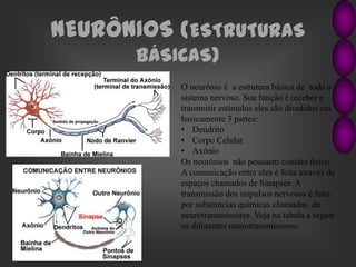 NEURÔNIOS (ESTRUTURAS
BÁSICAS)
O neurônio é a estrutura básica de todo o
sistema nervoso. Sua função é receber e
transmitir estímulos eles são divididos em
basicamente 3 partes:
• Dendrito
• Corpo Celular
• Axônio
Os neurônios não possuem contato físico.
A comunicação entre eles é feita através de
espaços chamados de Sinapses. A
transmissão dos impulsos nervosos é feita
por substancias químicas chamadas de
neurotransmissores. Veja na tabela a seguir
os diferentes neurotransmissores:

 