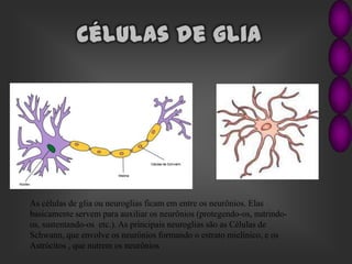 Organização do
Sistema Nervoso
• Sistema Nervoso
Central
O sistema nervoso central é formado pelo
encéfalo e pela medula e...