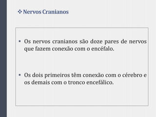 NervosCranianos
 Os nervos cranianos são doze pares de nervos
que fazem conexão com o encéfalo.
 Os dois primeiros têm conexão com o cérebro e
os demais com o tronco encefálico.
 