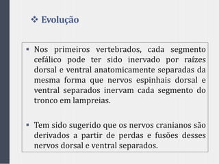 Evolução
 Nos primeiros vertebrados, cada segmento
cefálico pode ter sido inervado por raízes
dorsal e ventral anatomicamente separadas da
mesma forma que nervos espinhais dorsal e
ventral separados inervam cada segmento do
tronco em lampreias.
 Tem sido sugerido que os nervos cranianos são
derivados a partir de perdas e fusões desses
nervos dorsal e ventral separados.
 