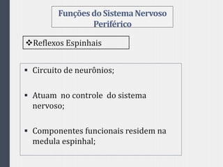 FunçõesdoSistemaNervoso
Periférico
 Circuito de neurônios;
 Atuam no controle do sistema
nervoso;
 Componentes funcionais residem na
medula espinhal;
Reflexos Espinhais
 