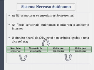 SistemaNervosoAutônomo
 As fibras motoras e sensoriais estão presentes;
 As fibras sensoriais autônomas monitoram o ambiente
interno;
 O circuito neural do SNA inclui 4 neurônios ligados a uma
alça reflexa;
Neurônio
sensorial
Neurônio de
associação
Motor pré-
ganglionar
Motor pós-
ganglionar
 