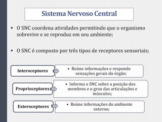 SistemaNervosoCentral
 O SNC coordena atividades permitindo que o organismo
sobrevive e se reproduz em seu ambiente;
 O SNC é composto por três tipos de receptores sensoriais;
• Reúne informações e responde
sensações gerais do órgão;
Interoceptores
• Informa o SNC sobre a posição dos
membros e o grau das articulações e
músculos;
Proprioceptores
• Reúne informações do ambiente
externo;
Exteroceptores
 