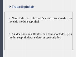  TratosEspinhais
 Nem todas as informações são processadas no
nível da medula espinhal.
 As decisões resultantes são transportadas pela
medula espinhal para efetores apropriados.
 