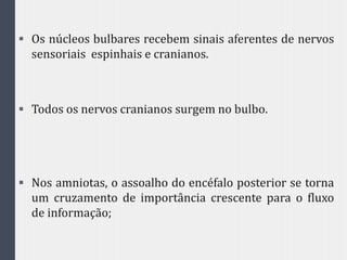  Os núcleos bulbares recebem sinais aferentes de nervos
sensoriais espinhais e cranianos.
 Todos os nervos cranianos surgem no bulbo.
 Nos amniotas, o assoalho do encéfalo posterior se torna
um cruzamento de importância crescente para o fluxo
de informação;
 