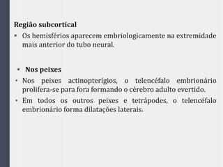 Região subcortical
 Os hemisférios aparecem embriologicamente na extremidade
mais anterior do tubo neural.
 Nos peixes
• Nos peixes actinopterígios, o telencéfalo embrionário
prolifera-se para fora formando o cérebro adulto evertido.
• Em todos os outros peixes e tetrápodes, o telencéfalo
embrionário forma dilatações laterais.
 