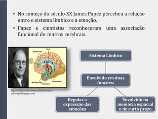  No começo do século XX James Papez percebeu a relação
entre o sistema límbico e a emoção.
 Papez e cientistas reconheceram uma associação
funcional de centros cerebrais.
Fig 29. relaçao do sistema limbidoFonte:
pedrorpb.blogspot.com
Envolvido em duas
funções:
Sistema Límbico
Envolvido na
memória espacial
e de curto prazo
Regular a
expressão das
emoções
 