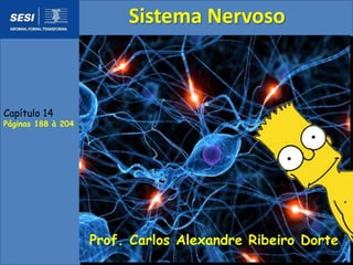 Capítulo 14 
Páginas 188 à 204 
Sistema Nervoso 
Prof. Carlos Alexandre Ribeiro Dorte 
 