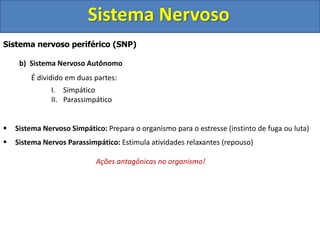 Sistema Nervoso 
Sistema nervoso periférico (SNP) 
b) Sistema Nervoso Autônomo 
É dividido em duas partes: 
I. Simpático 
II. Parassimpático 
 Sistema Nervoso Simpático: Prepara o organismo para o estresse (instinto de fuga ou luta) 
 Sistema Nervos Parassimpático: Estimula atividades relaxantes (repouso) 
Ações antagônicas no organismo! 
 