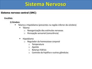 Sistema Nervoso 
Sistema nervoso central (SNC) 
Encéfalo 
I) Cérebro 
 Tálamo e Hipotálamo (presentes na região inferior do cérebro) 
 Tálamo 
o Reorganização dos estímulos nervosos 
o Percepção sensorial (consciência) 
 Hipotálamo 
o Regulador da homeostase corporal 
o Temperatura 
o Apetite 
o Balanço hídrico 
o Controle da hipófise e outras glândulas 
 