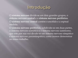 O sistema nervoso divide-se em dois grandes grupos, o 
sistema nervoso central e o sistema nervoso periférico. 
O sistema nervoso central contém o encéfalo e a espinal 
medula. 
O sistema nervoso periférico, subdivide-se em duas partes, 
o sistema nervoso somático e o sistema nervoso autónomo, 
que este por sua vez divide-se em sistema nervoso simpático 
e sistema nervoso parassimpático, como iremos demonstrar 
no nosso trabalho. 
 