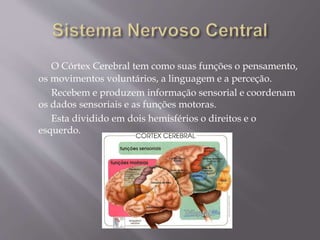 O Córtex Cerebral tem como suas funções o pensamento, 
os movimentos voluntários, a linguagem e a perceção. 
Recebem e produzem informação sensorial e coordenam 
os dados sensoriais e as funções motoras. 
Esta dividido em dois hemisférios o direitos e o 
esquerdo. 
 