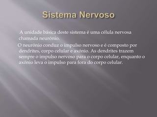 A unidade básica deste sistema é uma célula nervosa 
chamada neurónio. 
O neurónio conduz o impulso nervoso e é composto por 
dendrites, corpo celular e axónio. As dendrites trazem 
sempre o impulso nervoso para o corpo celular, enquanto o 
axónio leva o impulso para fora do corpo celular. 
 