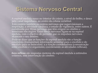 A espinal medula nasce no interior do crânio, a nível do bolbo, e desce 
pelo canal raquidiano, ao centro da coluna vertebral. 
Esta contém também os centros nervosos que supervisionam a 
respiração, a atividade cardíaca, o estado de vigilância, entre outros. É 
constituída por fibras nervosas que têm origem no cérebro e 
terminam nos órgãos. Estas fibras nervosas ligam-se na espinal 
medula, com o objetivo de permitir que os impulsos nervosos 
alcancem o seu destino. 
Pode-se dizer que as funções da espinal medula são a função 
condutora (transportam informação sensorial para o encéfalo e do 
encéfalo para os músculos) e a função coordenadora (comunicação 
entre encéfalo e o organismo, coordenando as atividades reflexas). 
Arco reflexo são respostas motoras da espinal medula a estímulos 
externos, sem intervenção do cérebro. 
 