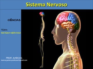 Ciências 
Tema: 
Sistema Nervoso 
Prof. Marcos 
SSiisstteemmaa NNeerrvvoossoo 
marcos.junior.professor@gmail.com 
 