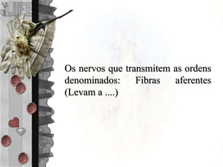 Os nervos que transmitem as ordens
denominados: Fibras aferentes
(Levam a ....)
 