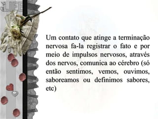 Um contato que atinge a terminação
nervosa fa-la registrar o fato e por
meio de impulsos nervosos, através
dos nervos, comunica ao cérebro (só
então sentimos, vemos, ouvimos,
saboreamos ou definimos sabores,
etc)
 