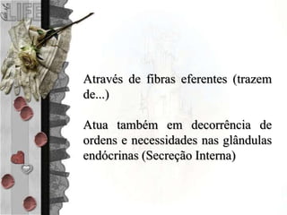 Através de fibras eferentes (trazem
de...)
Atua também em decorrência de
ordens e necessidades nas glândulas
endócrinas (Secreção Interna)
 